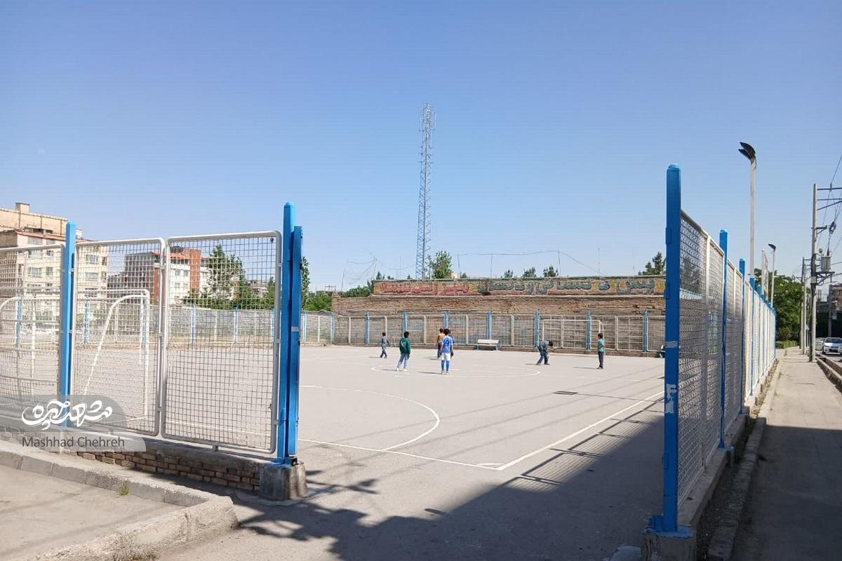 جمع درختان در کوچه ایثارگران