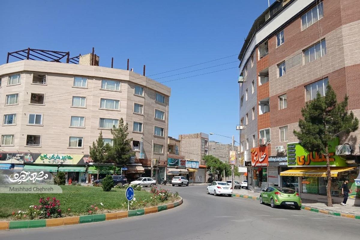 جمع درختان در کوچه ایثارگران