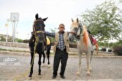 حسن مقنی عمرش را در کوهسنگی با اسب‌ها گذراند
