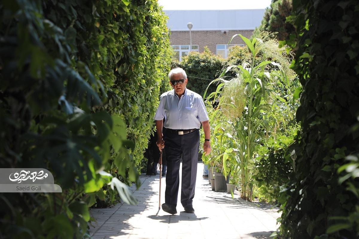 میراث طبابت در خاندان «شاملو»