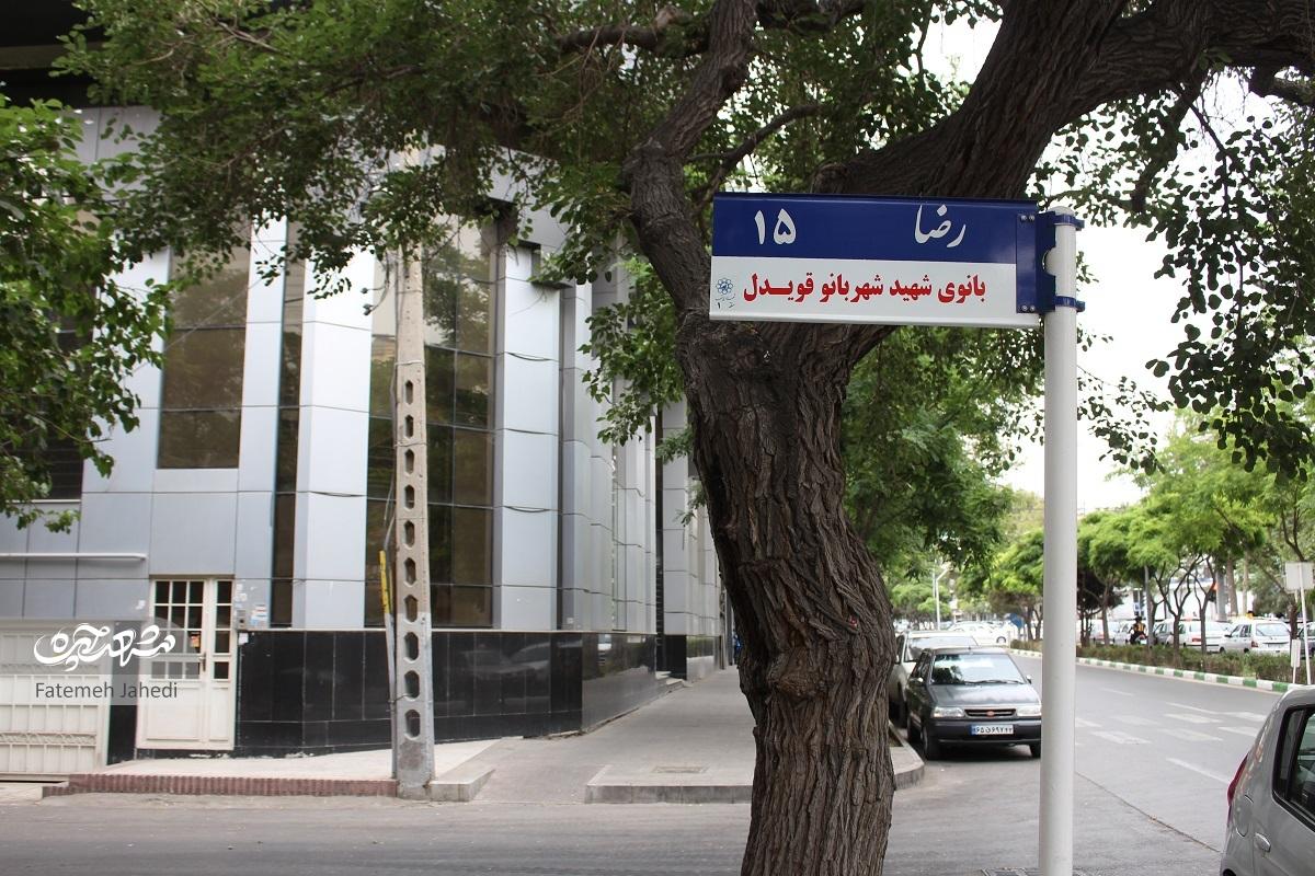 شهربانو قویدل به ثواب همسر شهید بودن قانع نشد شهربانو قویدل به ثواب همسر شهید بودن قانع نشد