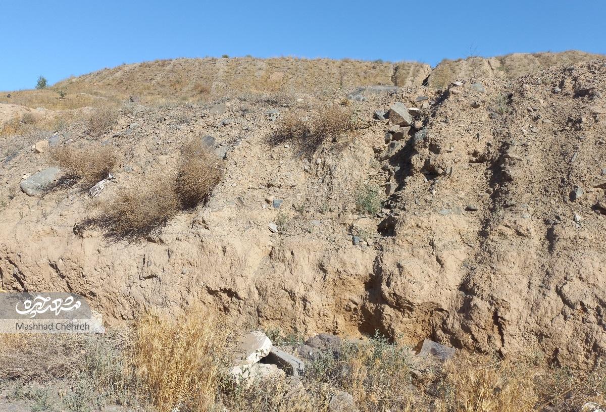 زندگی شهری اکرم صالحی با چاشنی طبیعت در سرافرازان زندگی شهری اکرم صالحی با چاشنی طبیعت در سرافرازان