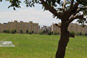 امیریه؛ محله در حال رشد منطقه ۱۲