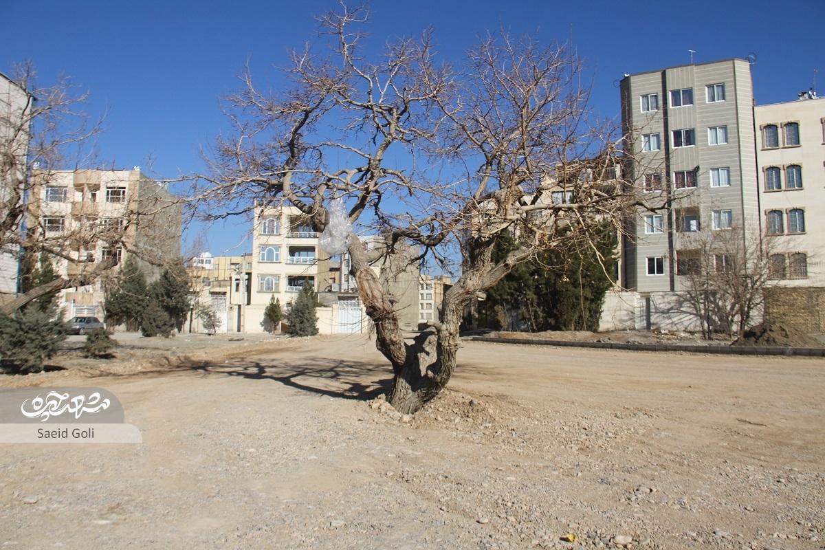 سالانه هزار تن گندم و هزار کیلو سبزی از روستای پاچنار برداشت میشد سالانه هزار تن گندم و هزار کیلو سبزی از روستای پاچنار برداشت میشد