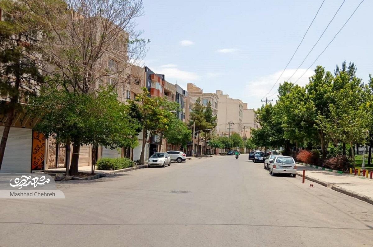 هاشمیه ۴۰؛ معبر همهچی تمام!