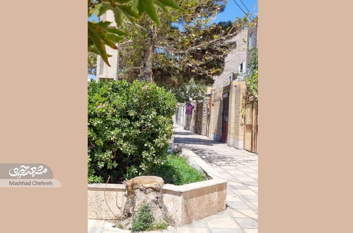 خاطره رقیه حلاجمقدم از نان «خدابیامرزی» حسینآقا خاطره رقیه حلاجمقدم از نان «خدابیامرزی» حسینآقا