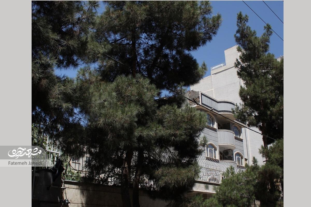 پاخور شکموها در سیدرضی پاخور شکموها در سیدرضی