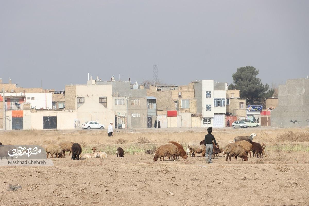 محله مهدیآباد؛ نماینده پنج روستای قدیمی است محله مهدیآباد؛ نماینده پنج روستای قدیمی است
