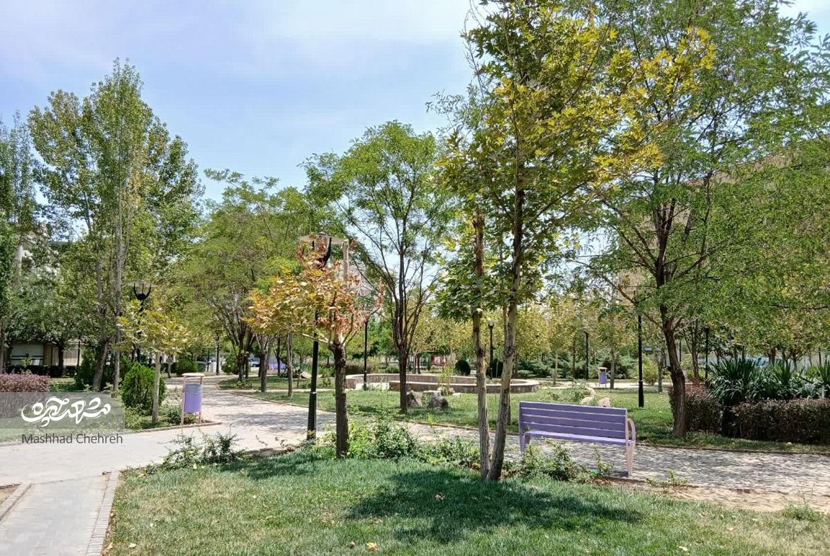 کوچه «فجری»ها در محله فرهنگیان کوچه «فجری»ها در محله فرهنگیان