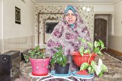 خانه خانم مظفری وقف روضه حضرت زهرا(س) است
