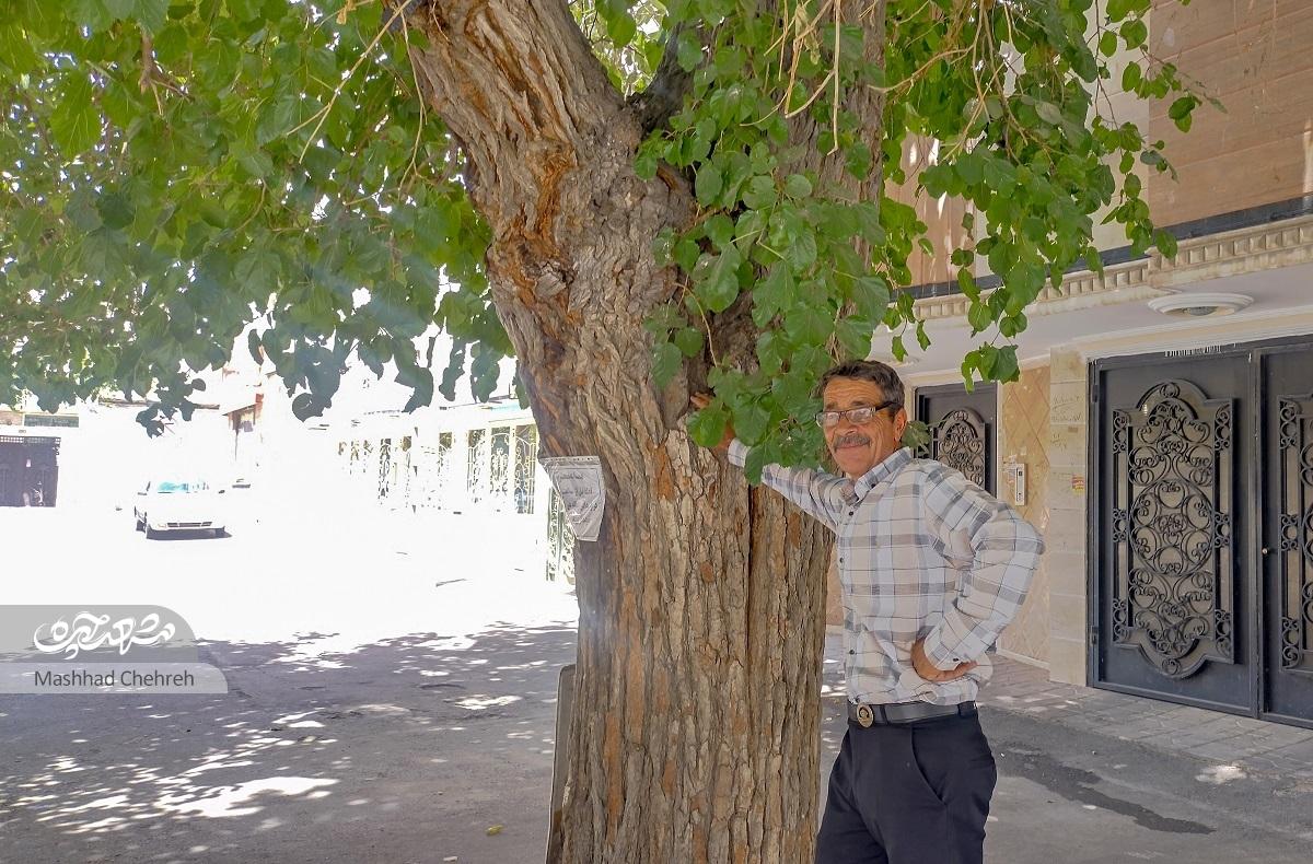 روایتهای محمدعلی سنجری از محله احمدآباد روایتهای محمدعلی سنجری از محله احمدآباد