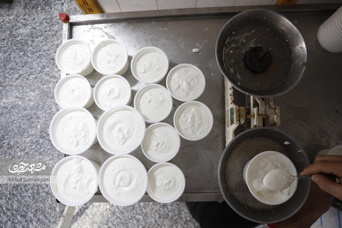 داستان حاجاسدالله بخشی، یکی از قدیمیترین لبنیاتیهای شهراز ریختن ماست توی تغار تا آوردن شیر با موتور گازی از روحآبادمنبع کلسیم طلاب! داستان حاجاسدالله بخشی، یکی از قدیمیترین لبنیاتیهای شهراز ریختن ماست توی تغار تا آوردن شیر با موتور گازی از روحآبادمنبع کلسیم طلاب!