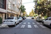 پاخور شکموها در سیدرضی