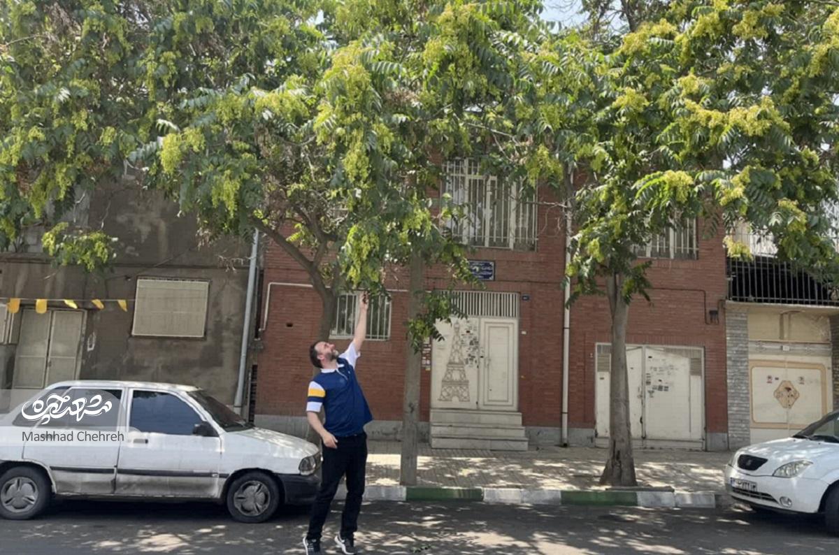 با حمید معصومیان در کوچه‌های تودرتوی خیابان افسر قدم زدیم و خاطراتش را مرور کردیمستون زرد ، نشانی یدا... شکسته‌بند بود