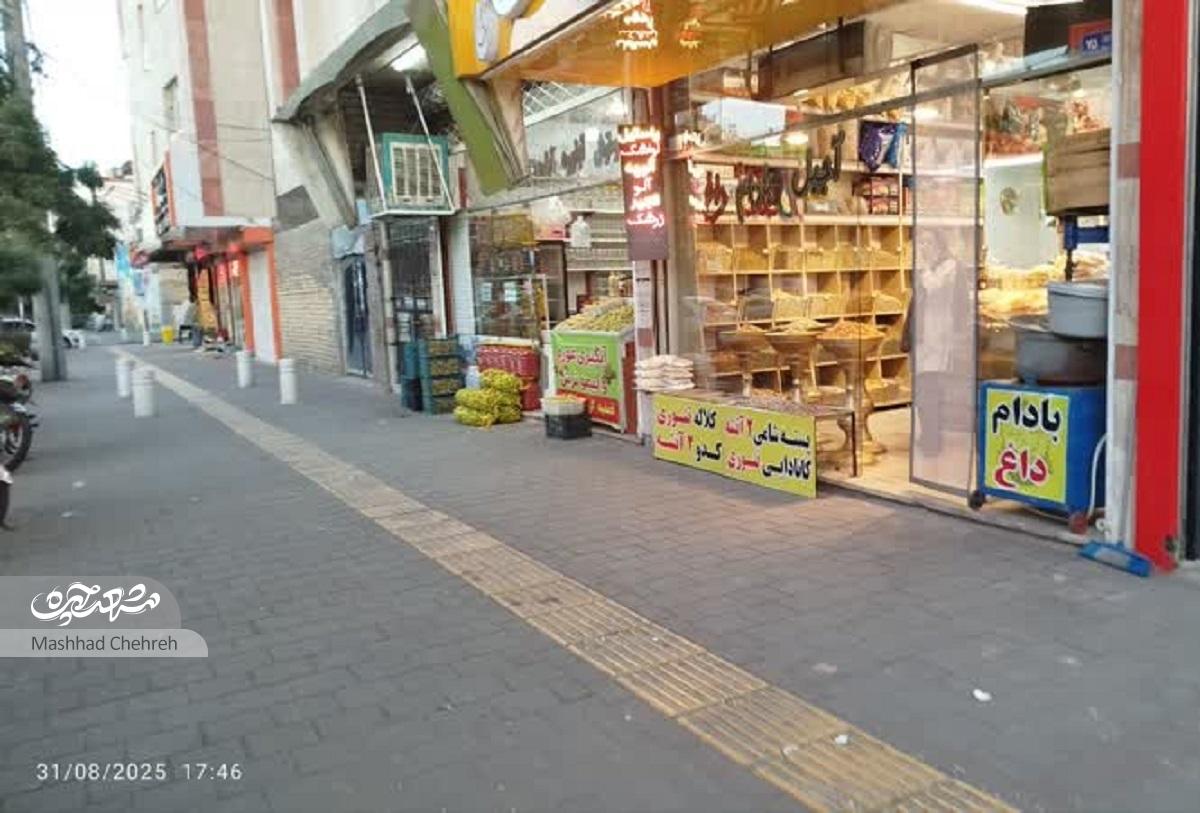 قرار دوچرخهسوارها زیر درخت توت محله کارگران قرار دوچرخهسوارها زیر درخت توت محله کارگران