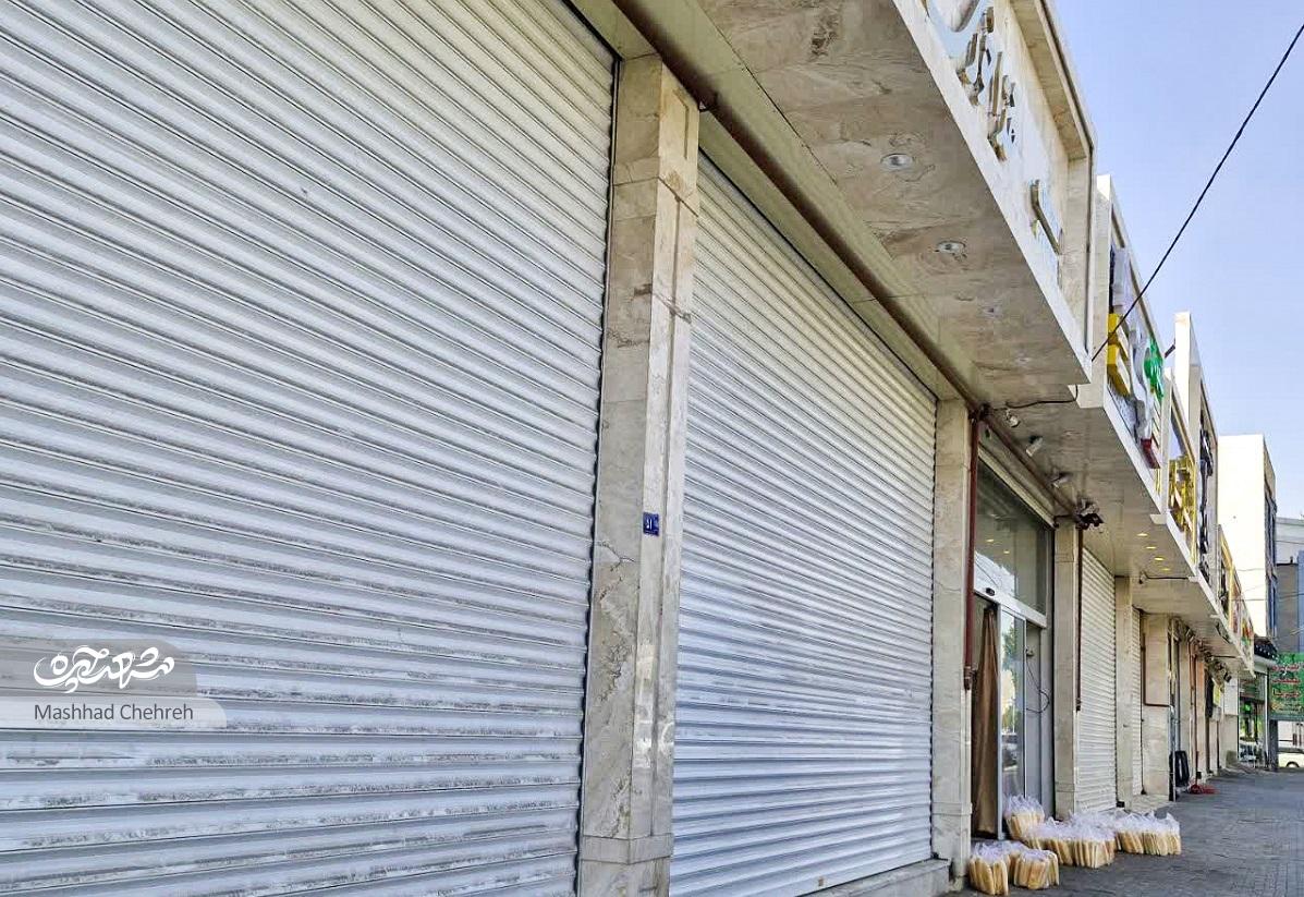 قرار دوچرخهسوارها زیر درخت توت محله کارگران قرار دوچرخهسوارها زیر درخت توت محله کارگران