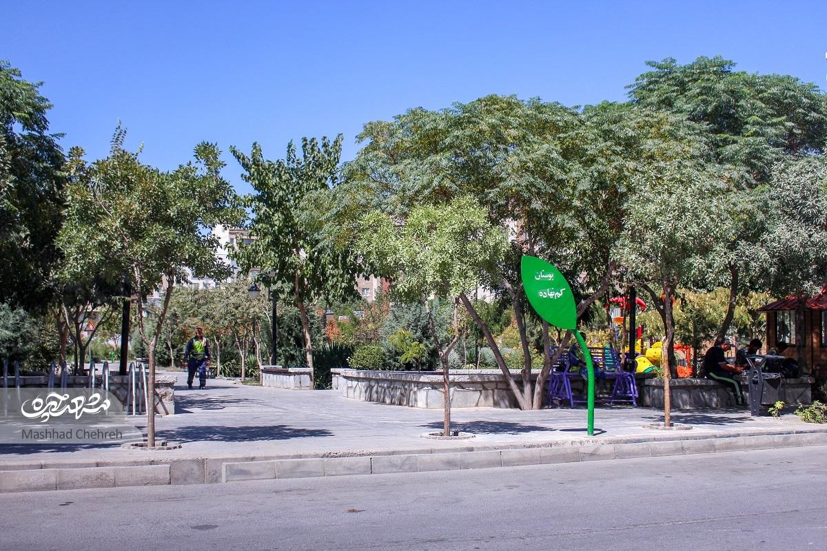 امیریه ۶؛ معبری با بازارمحله پر جنبوجوش امیریه ۶؛ معبری با بازارمحله پر جنبوجوش