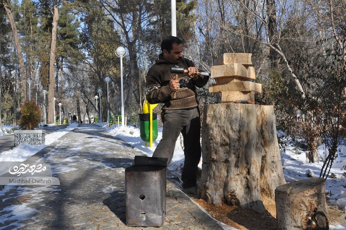 قدیر منوچهری با تنه درختان باغ وکیلآباد، آثار هنری خلق میکند قدیر منوچهری با تنه درختان باغ وکیلآباد، آثار هنری خلق میکند