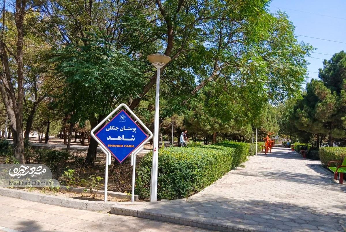 حجاب ۵۲؛ کوچه‌ای برای قدکشیدن