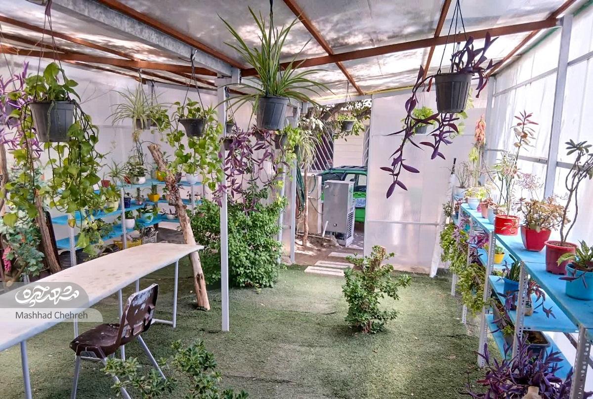 کوچه «مفاخر» در محله گلدیس