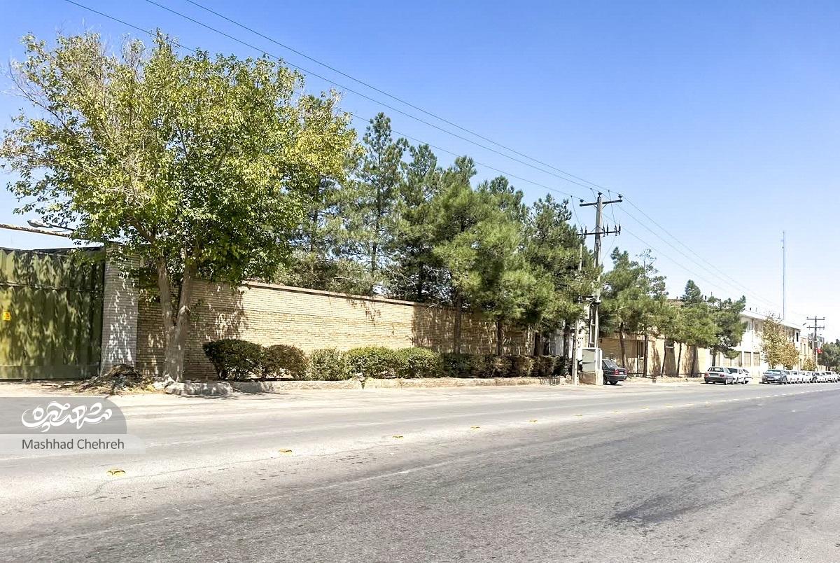 مسیر سرسبز صنعت در خیابان کاظمیه یک