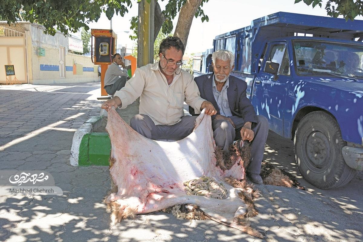 کوچه حسنقلی؛ کوچه پوسففروشان کوچه حسنقلی؛ کوچه پوسففروشان