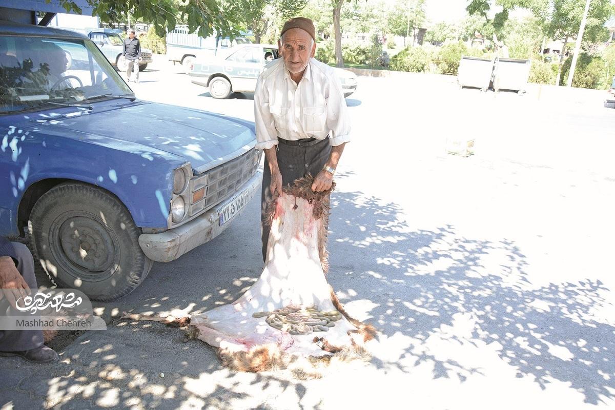 کوچه حسنقلی؛ کوچه پوسففروشان کوچه حسنقلی؛ کوچه پوسففروشان