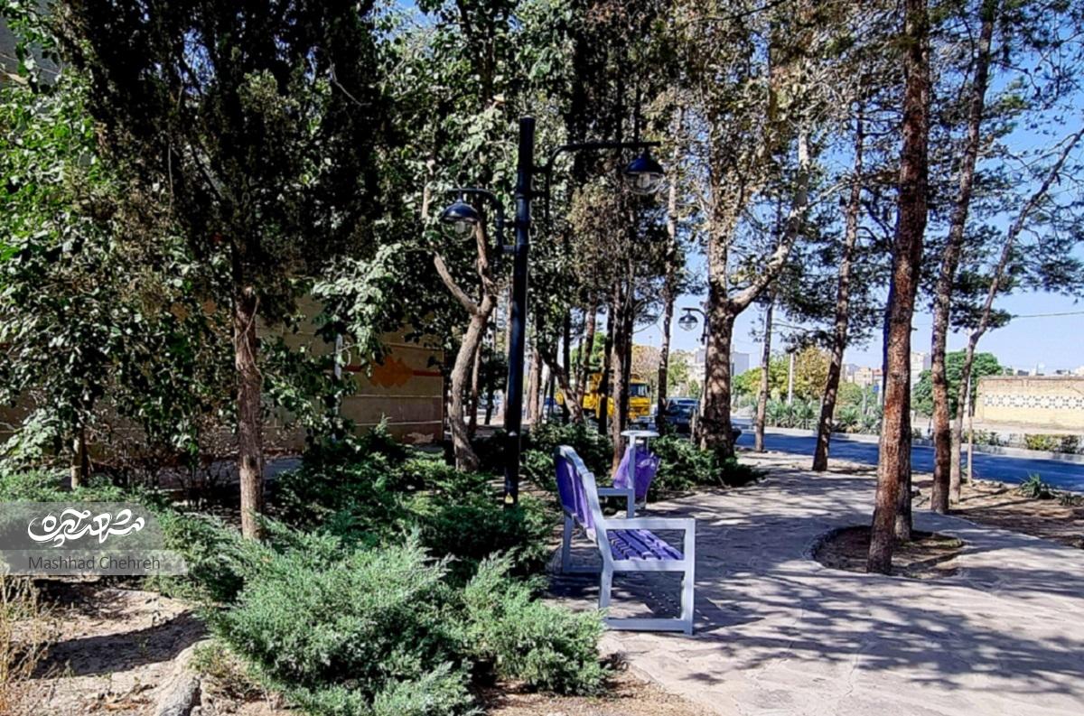 ربابهخانم، از نخستین ساکنان خانههای سازمانی شرکت رازی، خاطراتش را از سالهای سکونت در محله تربیت مرور میکندصف بستن اهالی جلو خانه ما ربابهخانم، از نخستین ساکنان خانههای سازمانی شرکت رازی، خاطراتش را از سالهای سکونت در محله تربیت مرور میکندصف بستن اهالی جلو خانه ما