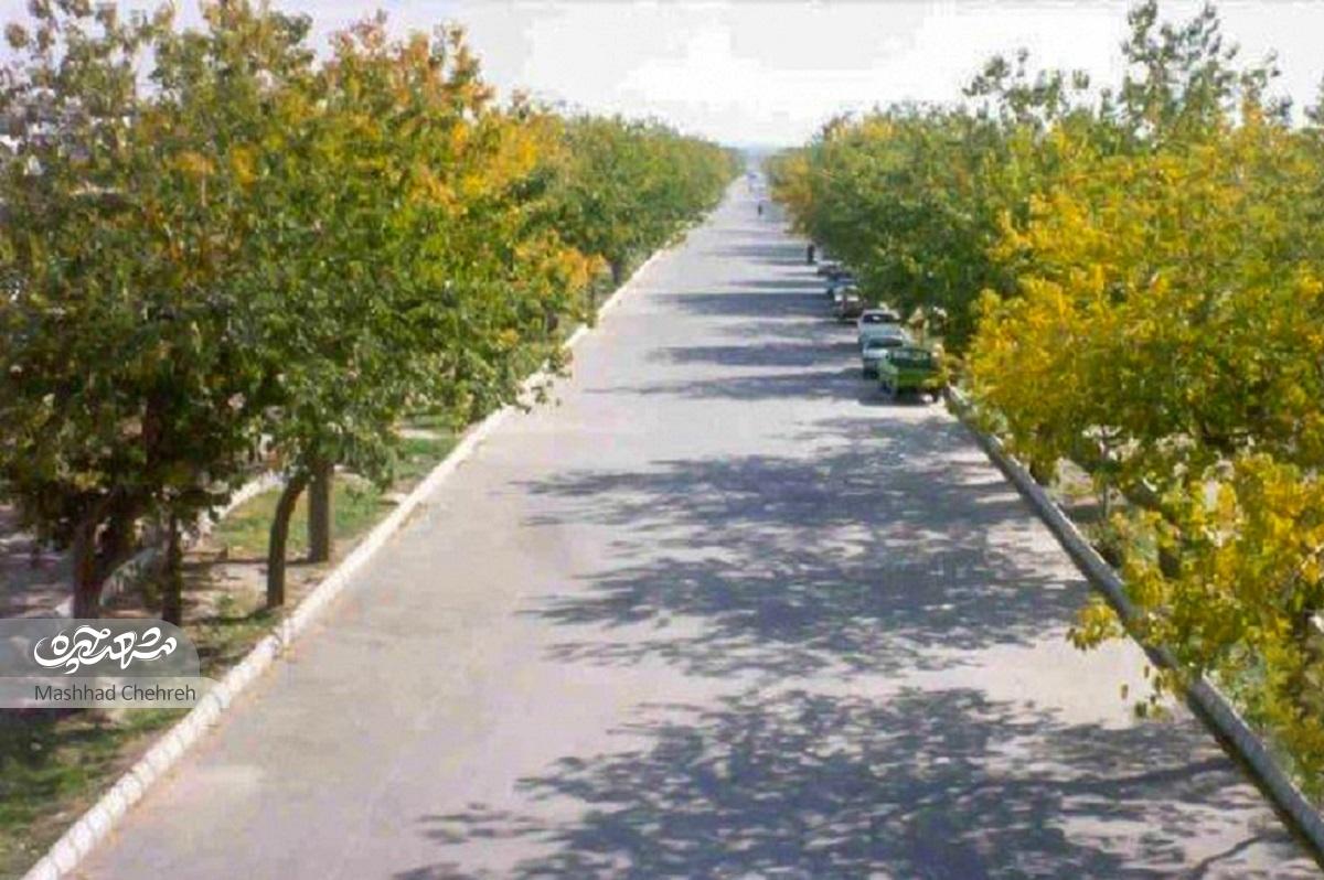 ربابهخانم، از نخستین ساکنان خانههای سازمانی شرکت رازی، خاطراتش را از سالهای سکونت در محله تربیت مرور میکندصف بستن اهالی جلو خانه ما ربابهخانم، از نخستین ساکنان خانههای سازمانی شرکت رازی، خاطراتش را از سالهای سکونت در محله تربیت مرور میکندصف بستن اهالی جلو خانه ما