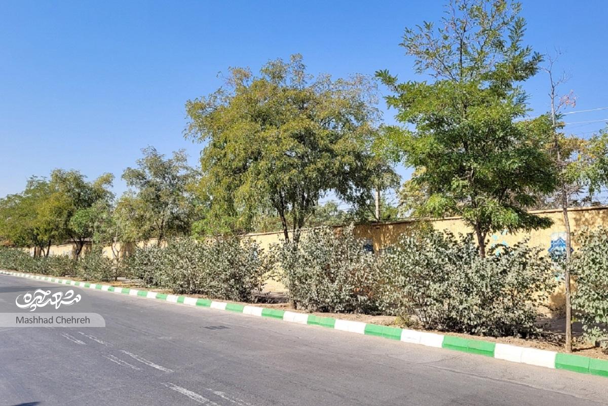 ۵۰‌سال خاطره در محله امام‌خمینی (ره) را روایت می‌کندزنگ ورزش در ترمینال