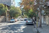 زندگی آرام در سایه چنارهای بلند کوچه وحید‌۱۵