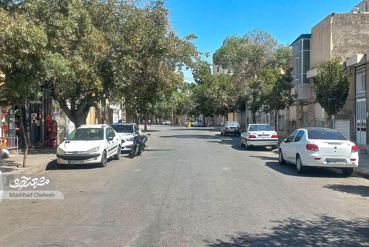 مسجد چهارده‌معصوم(ع) تکیه‌گاه کوچه شهیدآقایی است