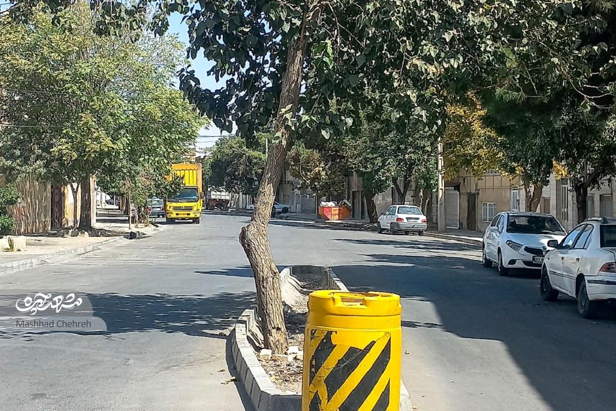 مسجد چهاردهمعصوم(ع) تکیهگاه کوچه شهیدان آقایی مسجد چهاردهمعصوم(ع) تکیهگاه کوچه شهیدان آقایی