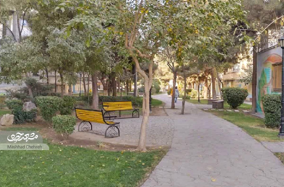 کال قرهخان در منطقه یک شهرداری مشهد سبز شد