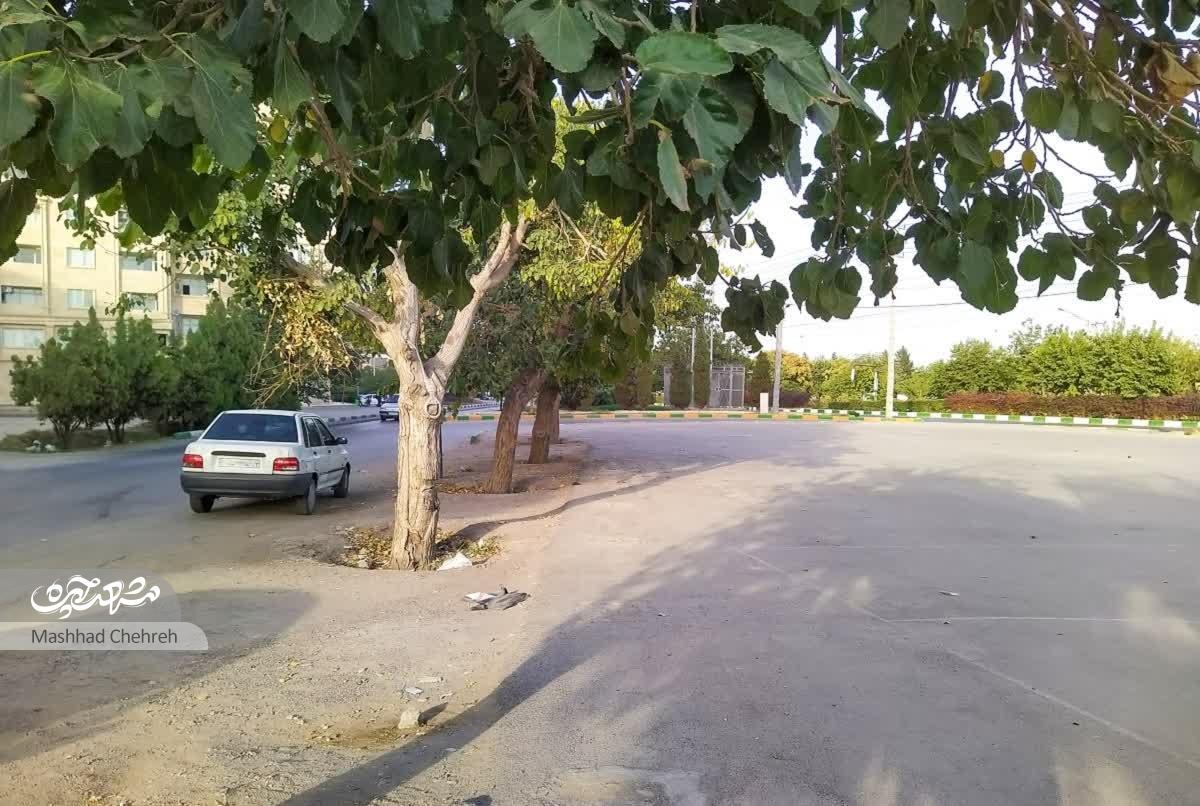 کوچه درمانگاه تامین اجتماعی در محله حسین‌آباد