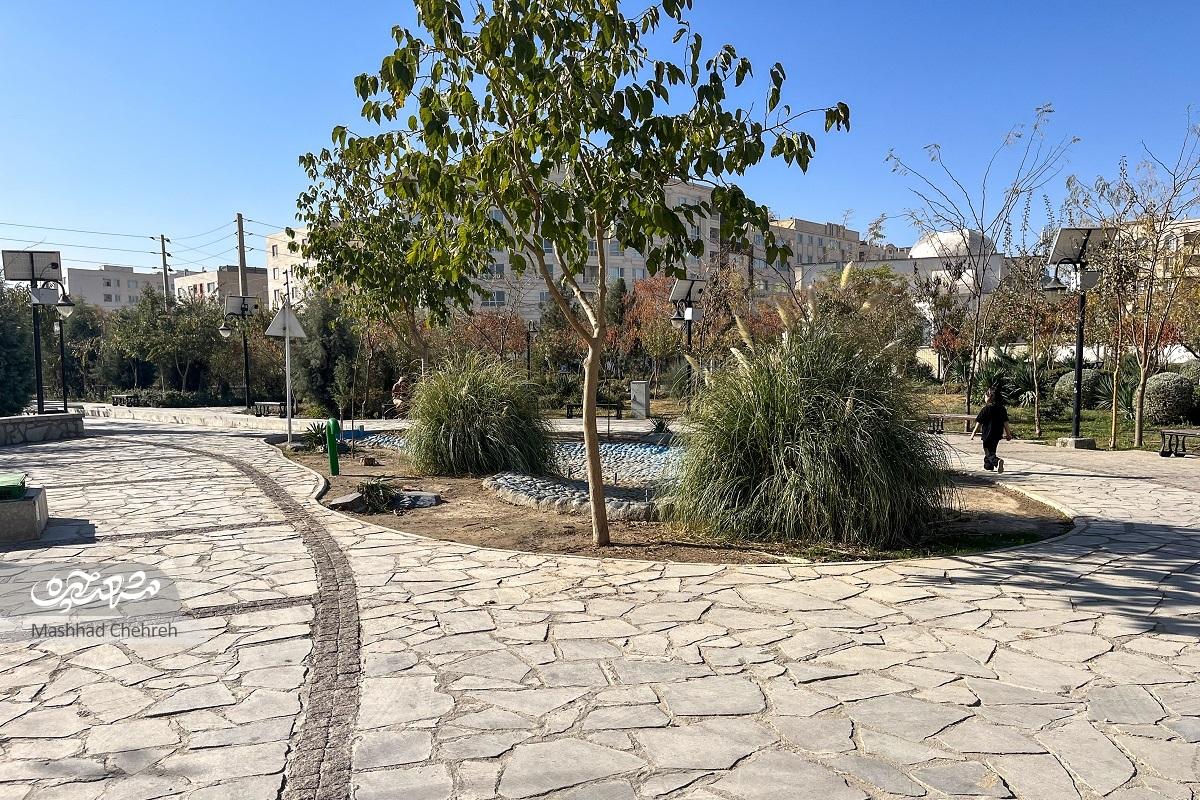 زهرا ربانی، از اولین ساکنان الهیه میگوید که رفتار دوستانه همسایهها نقطه امید محلههای خلوت و خاکی بود ساده و صمیمی در محله زهرا ربانی، از اولین ساکنان الهیه میگوید که رفتار دوستانه همسایهها نقطه امید محلههای خلوت و خاکی بود ساده و صمیمی در محله