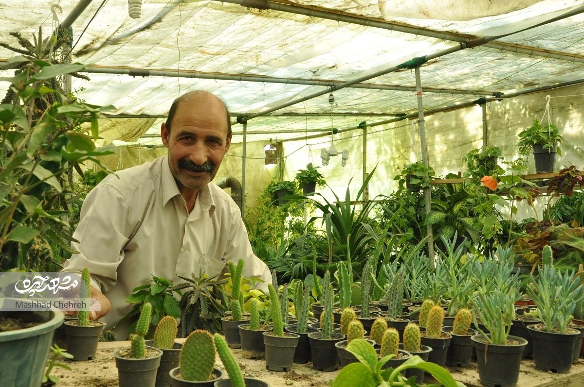 گلخانه هادی بوی دریا می‌دهد