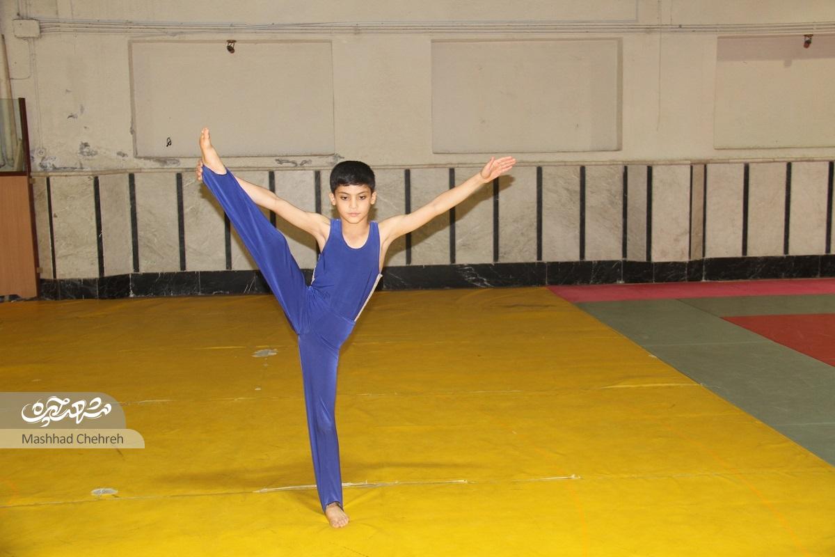مهرداد شکری، رتبه برتر مسابقات استانی ژیمناستیک را کسب کرده است