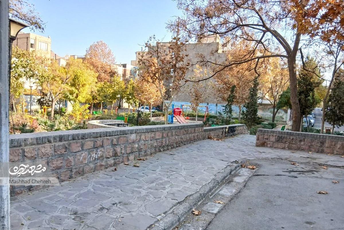 رنگ‌و‌بوی پهلوانی در «زیتون»