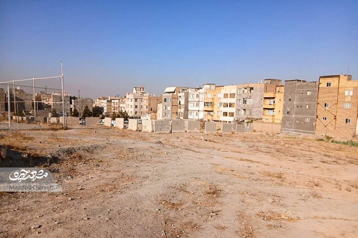 رنگ‌و‌بوی پهلوانی در «زیتون»