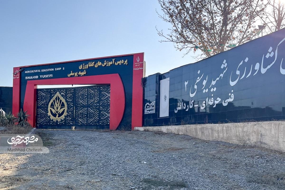 اصغر روشنی، زمانی به امیریه آمد که کمتر کسی حاضر بود در این محدوده زندگی کندمهاجرت به «روستایی در شهر»