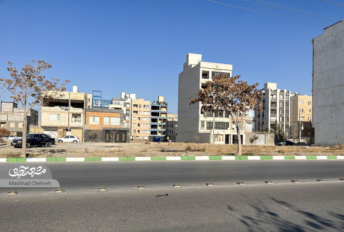 اصغر روشنی، زمانی به امیریه آمد که کمتر کسی حاضر بود در این محدوده زندگی کندمهاجرت به «روستایی در شهر»