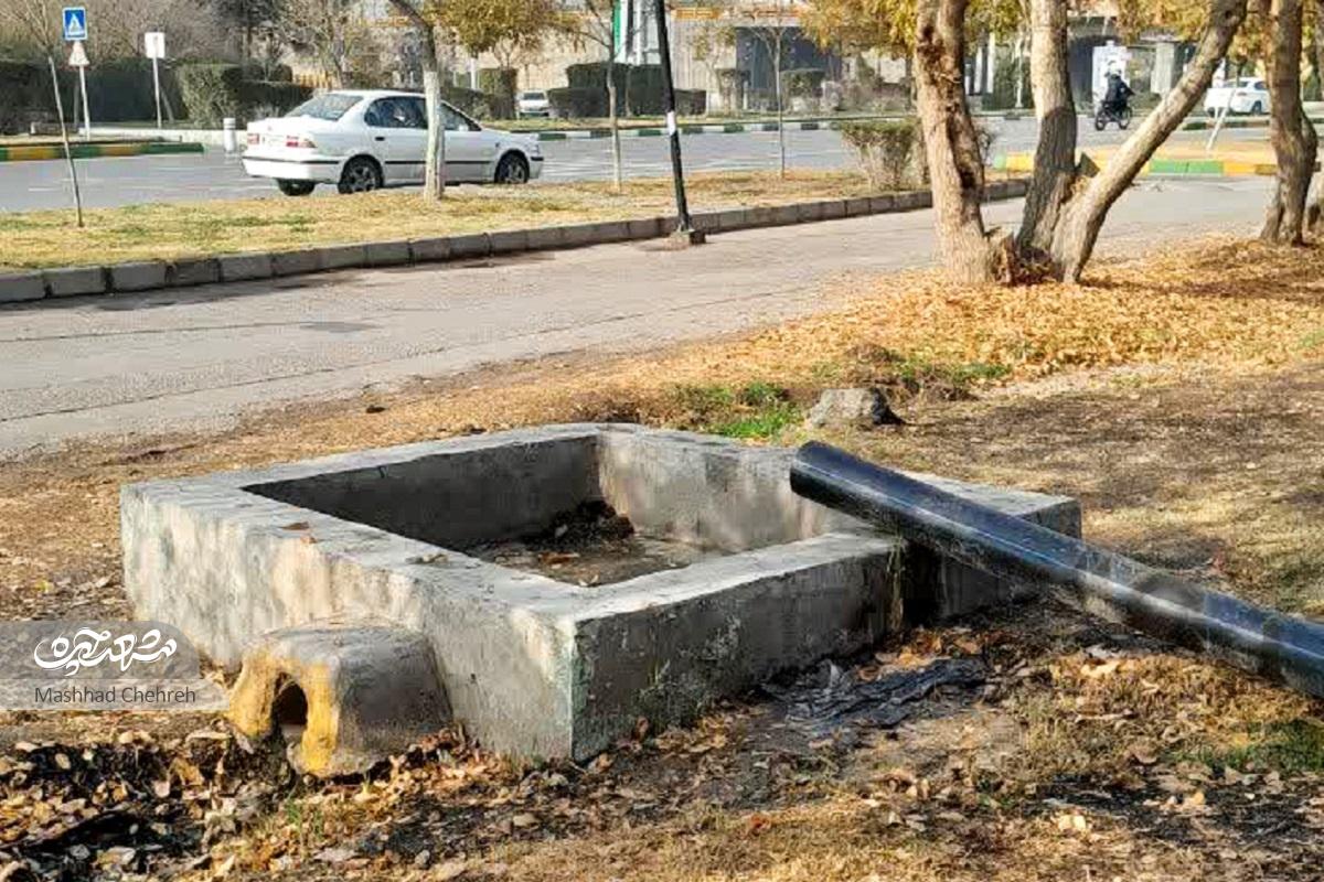 خاطرات شیرین مرتضی رهروان از قد کشیدن در خیابان اُحُد7