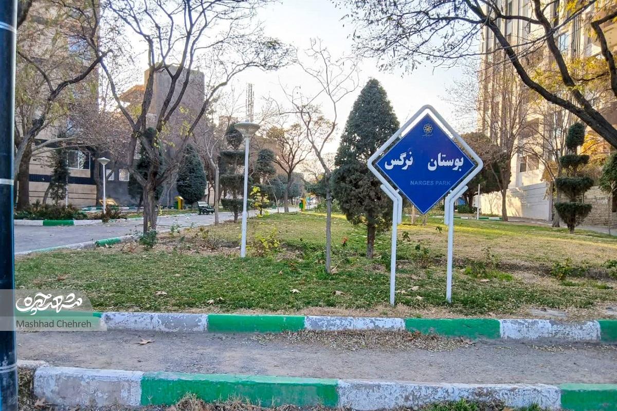 باغبانی همسایهها در یک معبر باغبانی همسایهها در یک معبر