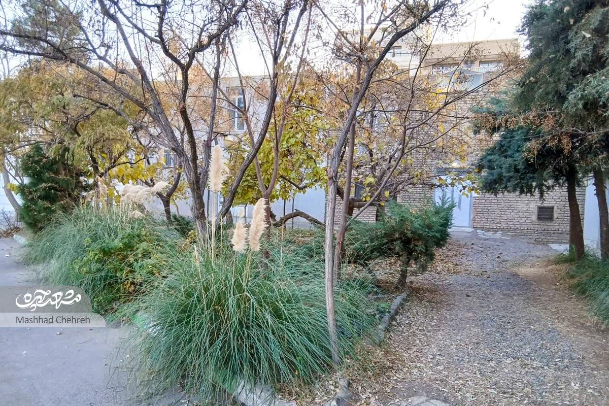 باغبانی همسایهها در یک معبر باغبانی همسایهها در یک معبر