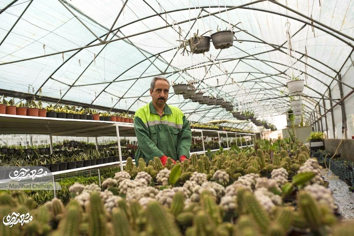 فنیکارها جای مصالحفروشها را گرفتند فنیکارها جای مصالحفروشها را گرفتند