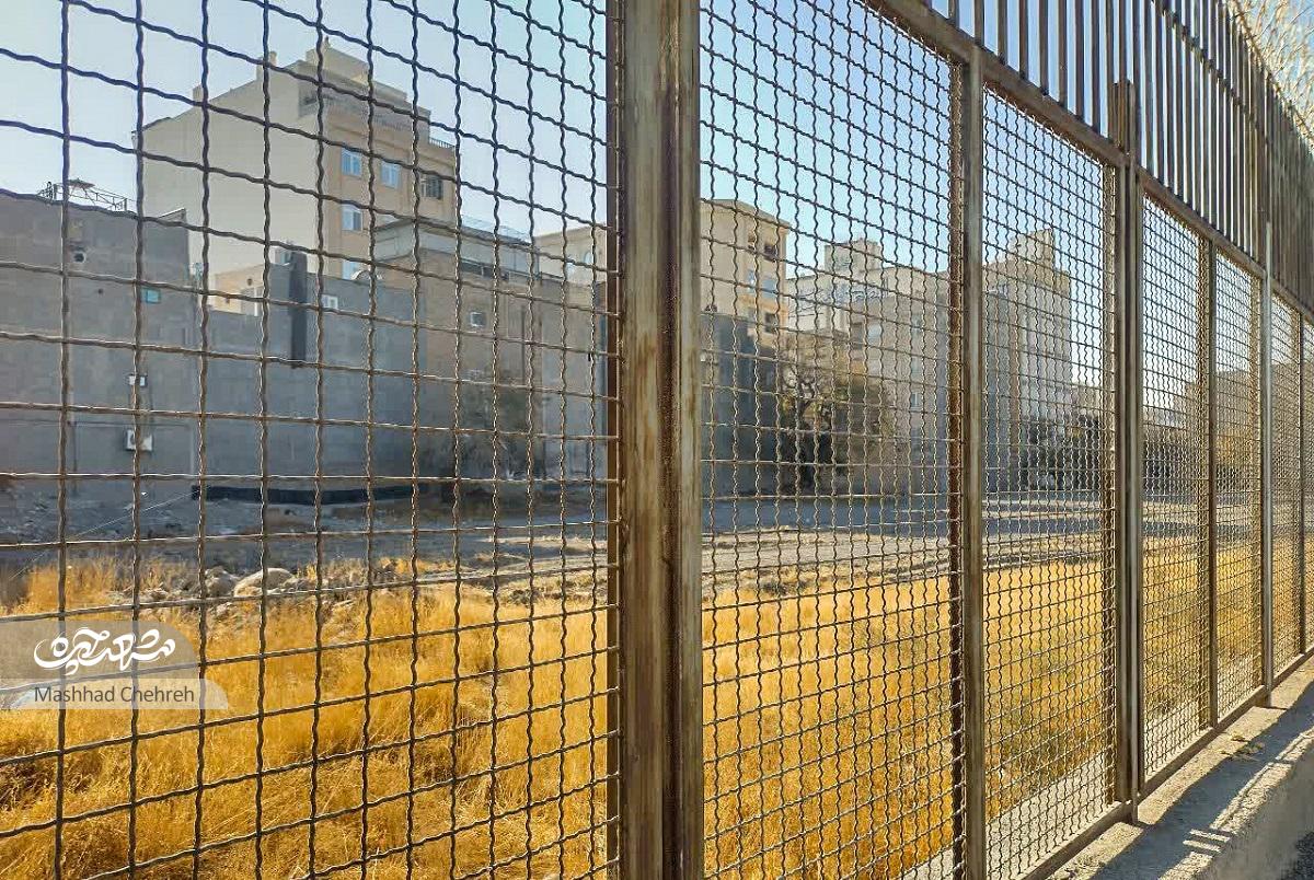 کلاهدوز ۲۸؛ خیابان دانشگاهی‌ها