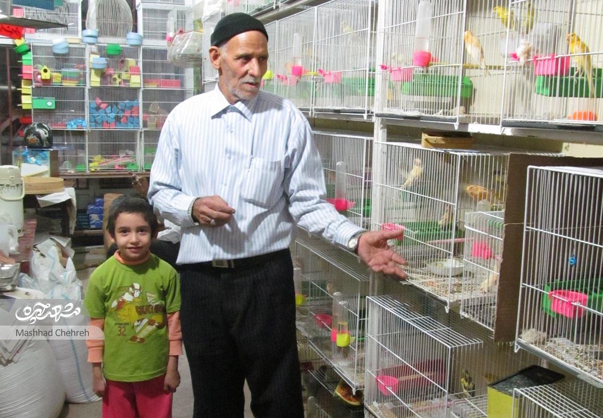 حاج‌حسین نازی، ناز قناری‌هایش را می‌کشد