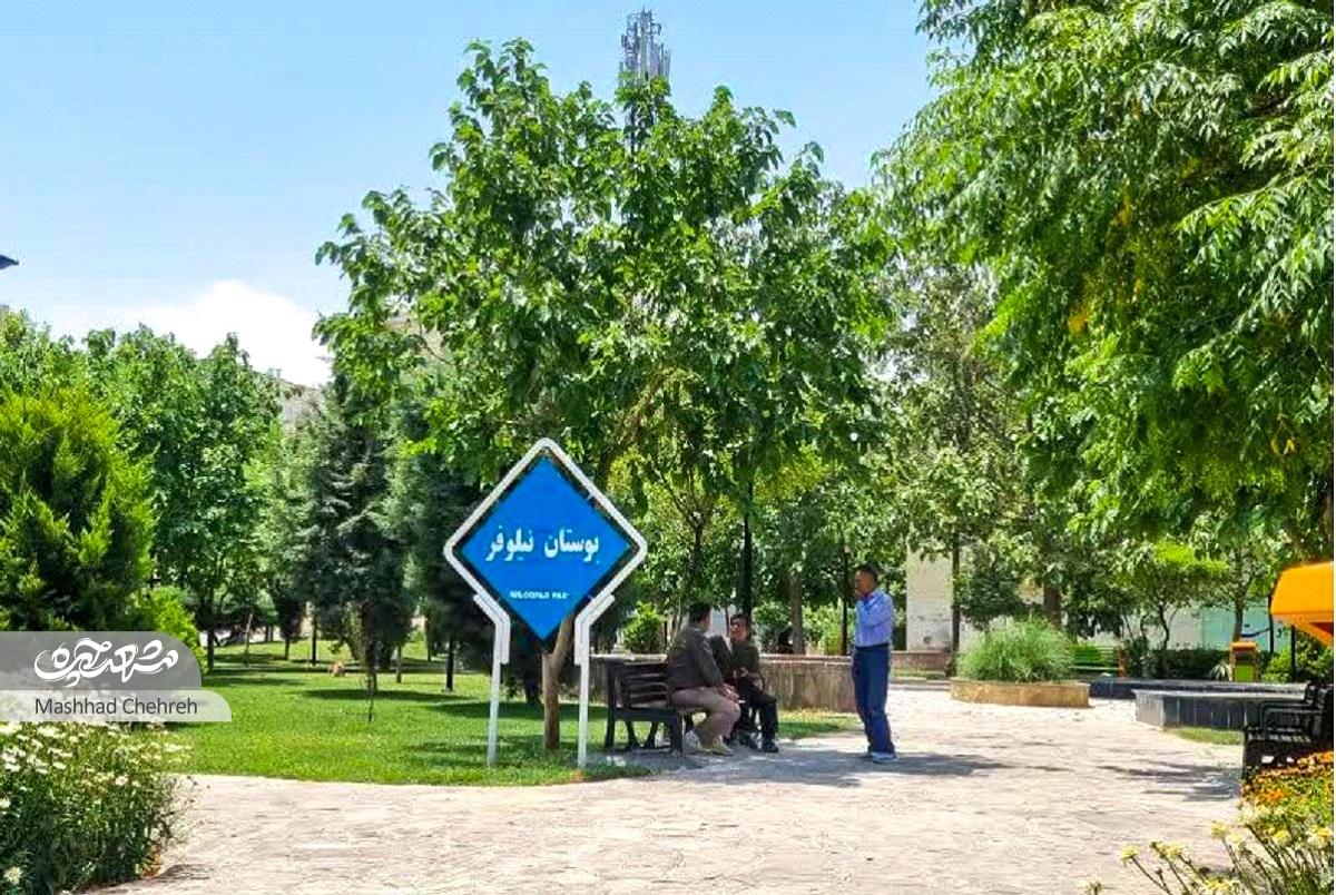 غلامعلی خاکساری نقش اول آبادی محله غلامعلی خاکساری نقش اول آبادی محله