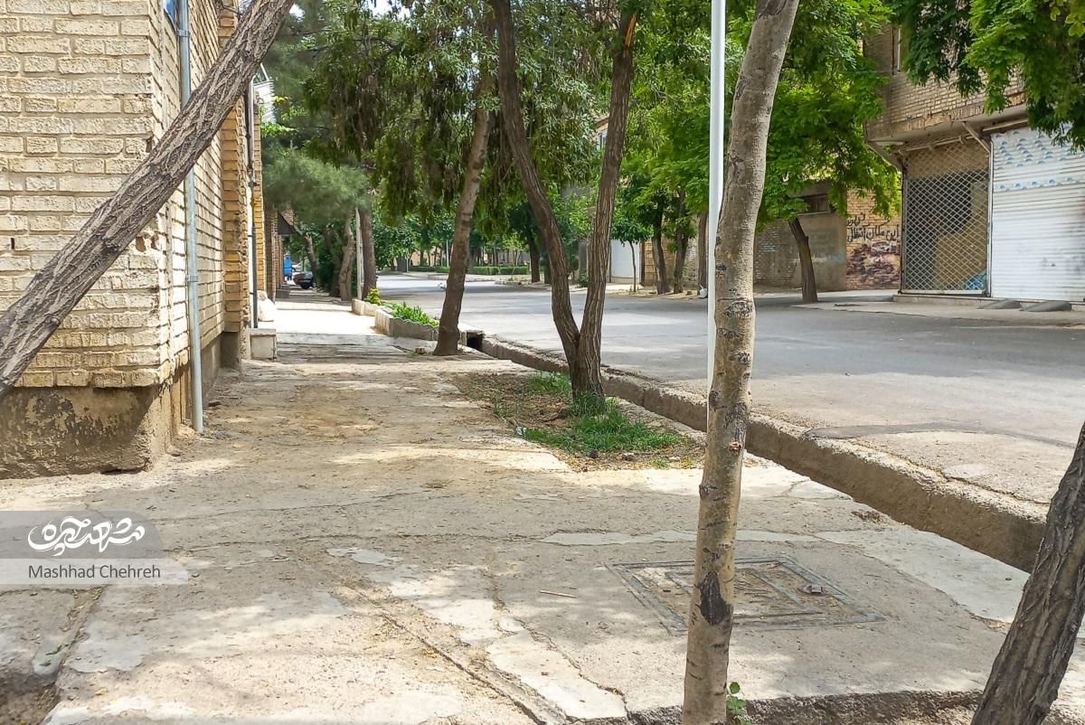 قدمت باصفای کوچه‌ای در مهرمادر